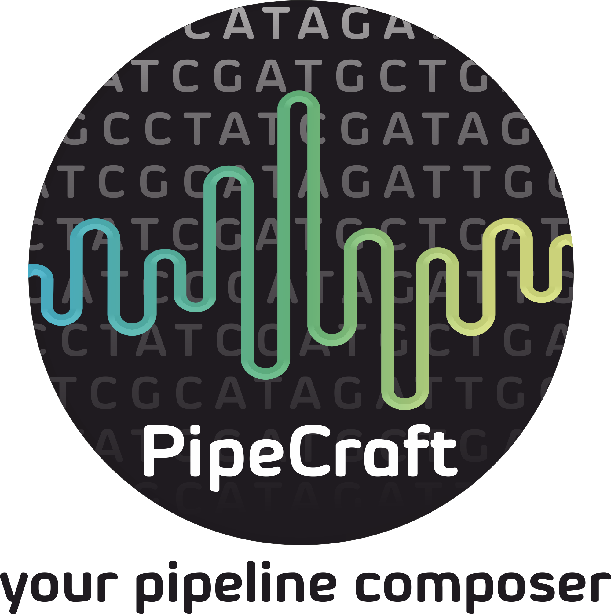 PipeCraft2_largelogo