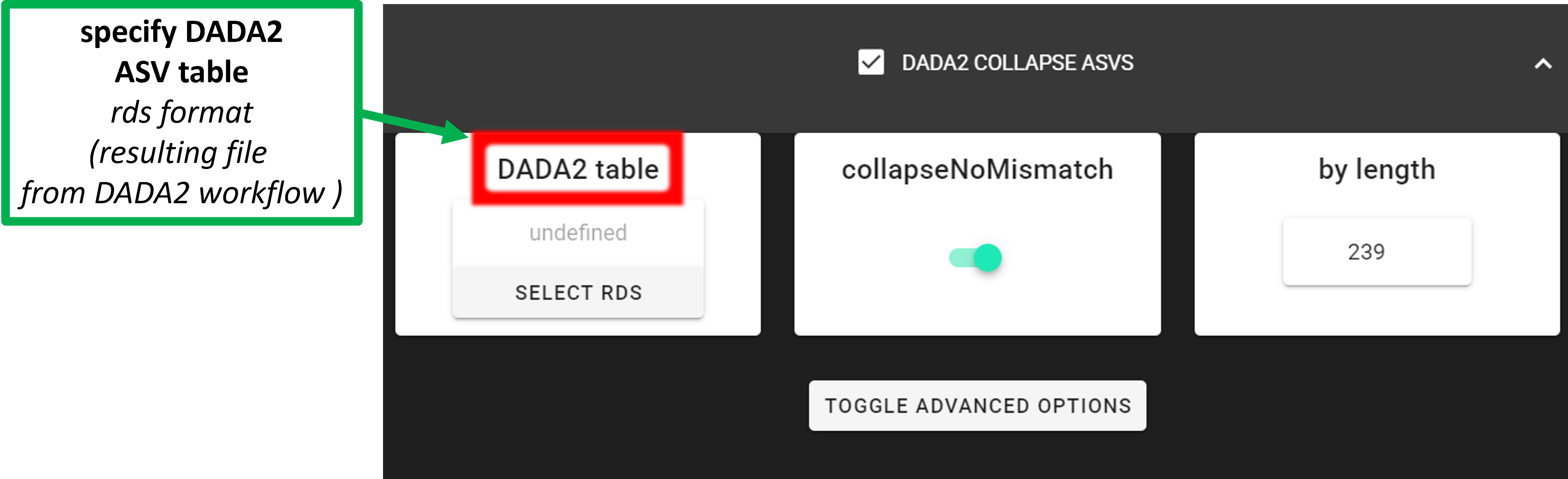 DADA2_collapse_ASVs