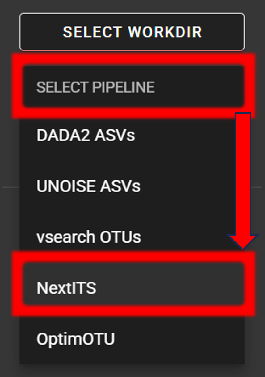 NextITS_pipeline
